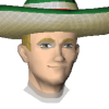 A headshot avatar of the player AgentGaara
