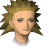 A headshot avatar of the player Biniput