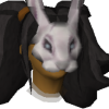 A headshot avatar of the player Bunnyopath