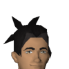 A headshot avatar of the player DabnSpace