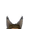 DansShewolf