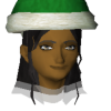 A headshot avatar of the player Feidian