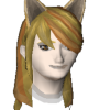A headshot avatar of the player HeartKeeper