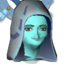 A headshot avatar of the player Heavyoak