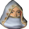 A headshot avatar of the player ImNibbler
