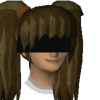 A headshot avatar of the player Leahsaur