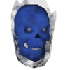 A headshot avatar of the player Ravenstar69