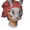 A headshot avatar of the player Ruiva