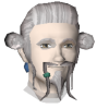 A headshot avatar of the player Shifu