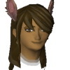 A headshot avatar of the player Shini84
