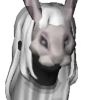 A headshot avatar of the player Sparrowz