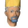 A headshot avatar of the player Tans121