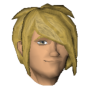 A headshot avatar of the player Wazro