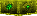 D E S T I N Y
