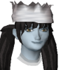 Choisa