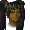 sem