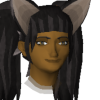 Vulpes Chama