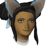 aeirdnom