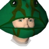 Shamtism