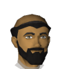 Snadert