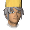 Snas