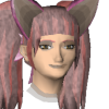 Catie Kitty