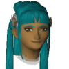 Dolphinatrix