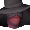 The Recluse