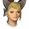 Iarins