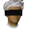 BapaSol