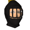 F4LS3_G0SP3L