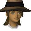 Lilwyr