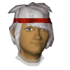 The�Altruist