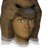 WhyNotBears