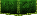 GreenWheenies