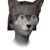 cat skillz