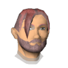A headshot avatar of the player curtcio