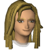 Forum chat head