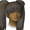 A headshot avatar of the player expar