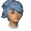 Forum chat head