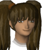 Avatar do jogador nulling