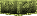 STDZ