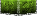 Holyscape