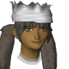 A headshot avatar of the player qMiger