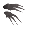 Iron claws