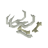 Wyrm bones