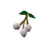 White berries