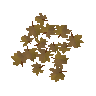 Maple leaves