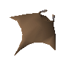 Manta ray