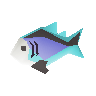Raw rainbow fish